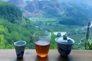 10年前加班和应酬,变胖打鼾只好戴呼吸机,如今生活清远乡下,他的变化惊人!